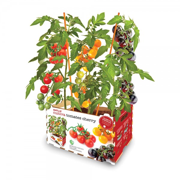 Caja con tomates de colores batlle